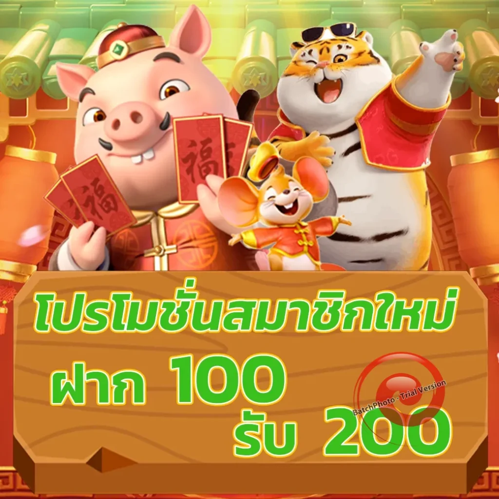 soza slots webslot